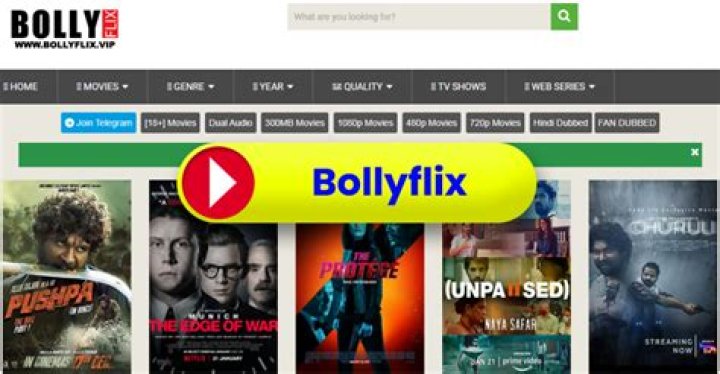 BollyFlix Buzz: Your Ultimate Guide to the Hottest Streaming Sensation