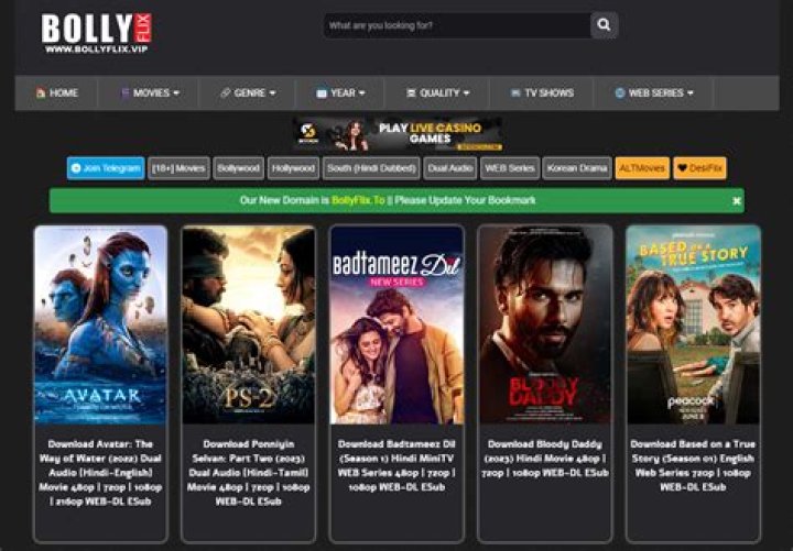 Bollyflix.com In: Your Ultimate Guide to Bollywood Movies