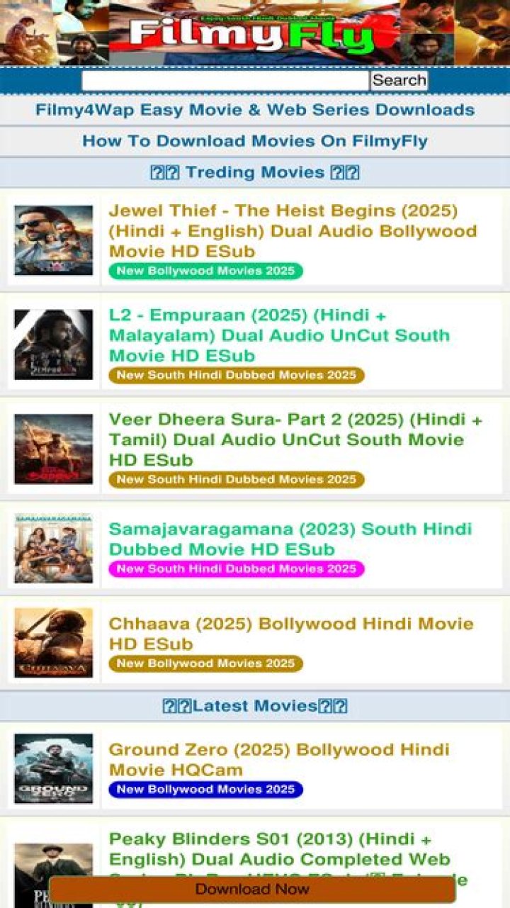 FilmyFly.PHD: Your Ultimate Destination for Movie Buffs