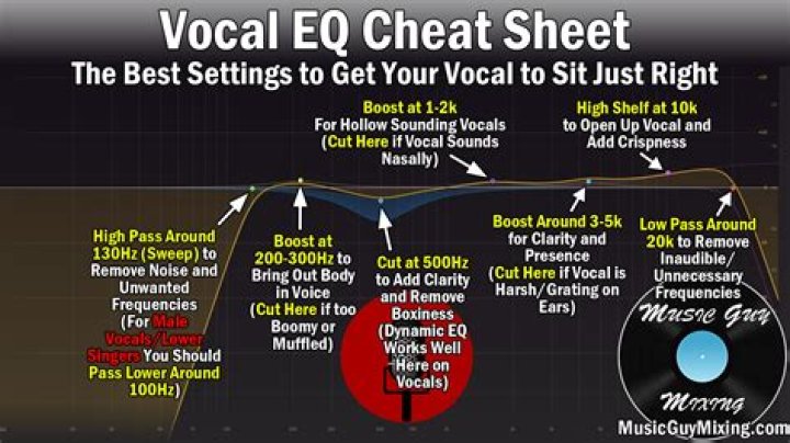 The Vocal Bible: Your Ultimate Guide to Mastering Vocal Techniques
