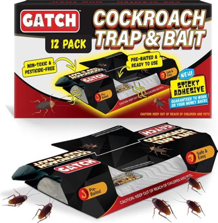 What Are the Best Roach Trap Options in 2023?
